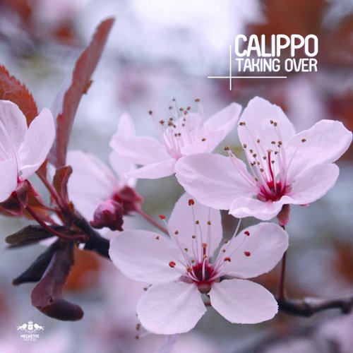Calippo – Taking Over
