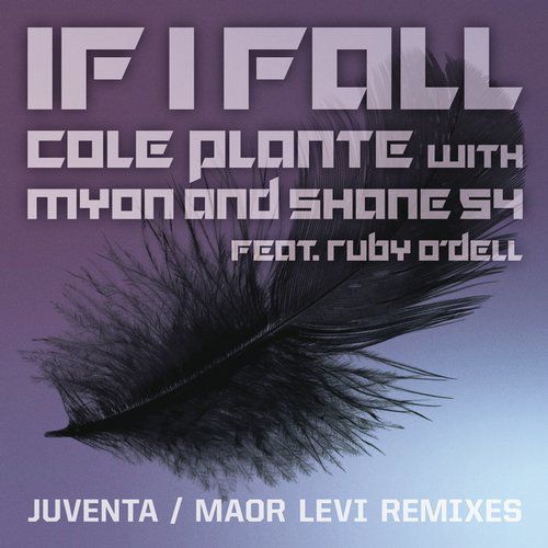 Myon & Shane 54 & Cole Plante & Ruby O’Dell – If I Fall (Juventa & Maor Levi Remix)