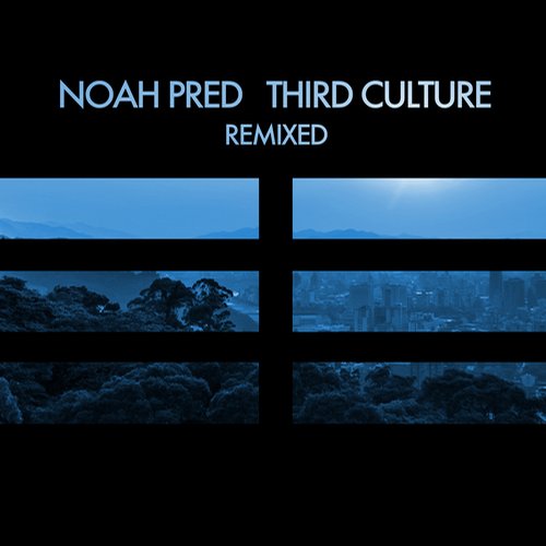 Noah Pred – Third Culture Remixed