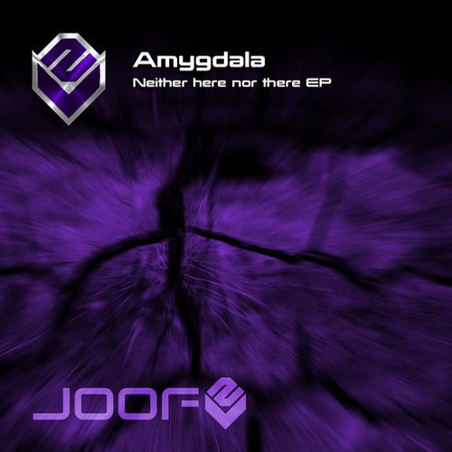 Amygdala – Neither Here Nor There EP