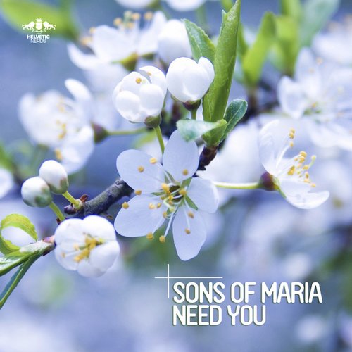 Sons Of Maria – I Got a Thrill