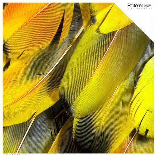 Angelo Mele – Proform