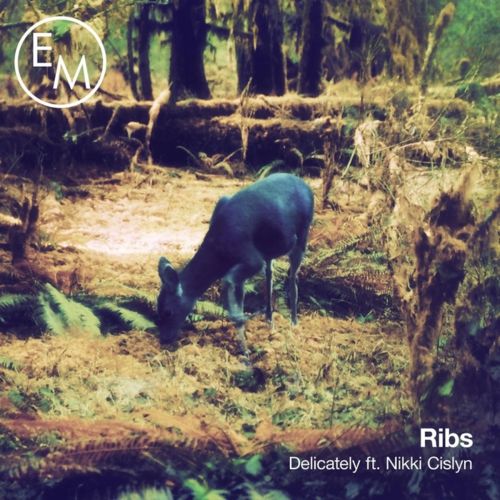 Ribs – Delicately