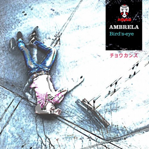 Ambrela – Bird’s-Eye