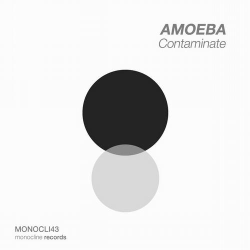 Amoeba – Contaminate LP