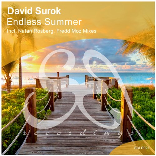 David Surok – Endless Summer
