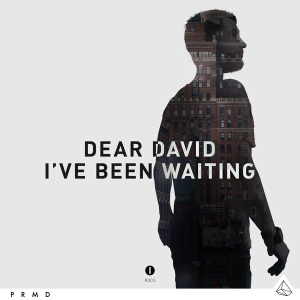 Dear David – I’ve Been Waiting