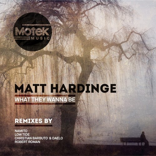 Matt Hardinge – What They Wanna Be
