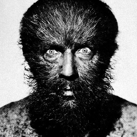 Dario Zenker – Mörsin