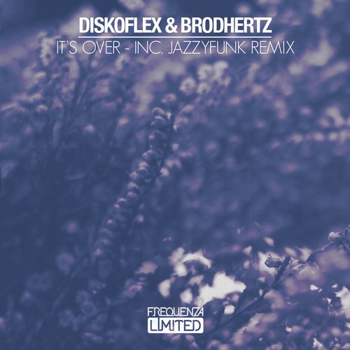 Diskoflex & Brodhertz – It’s Over
