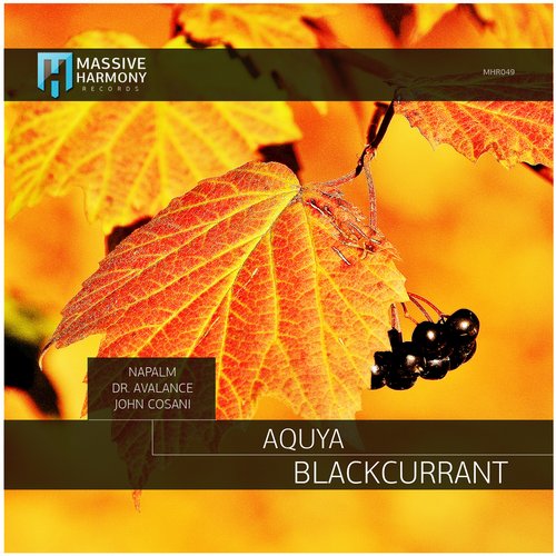 Aquya – Blackcurrant