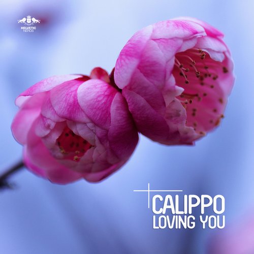 Calippo – Loving You