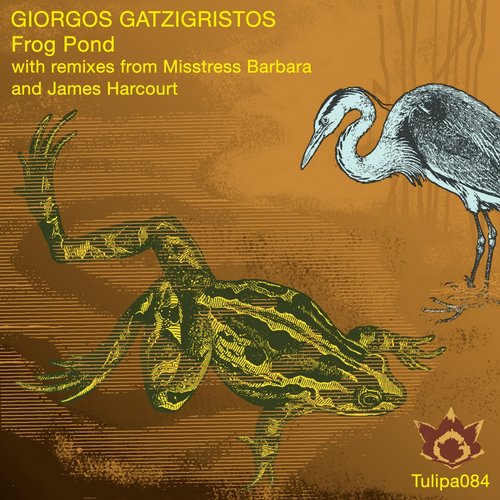 Giorgos Gatzigristos – Frog Pond