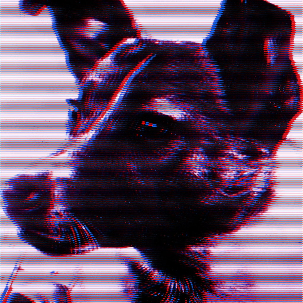 Panthera Krause – Laika