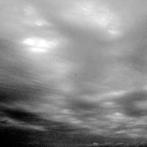Submersion – Momentum