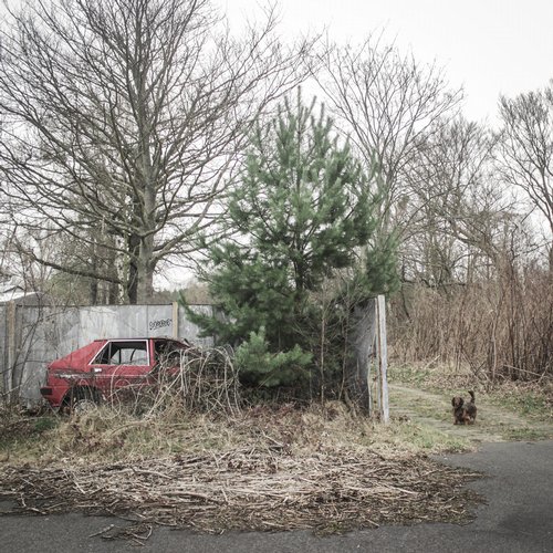 Scherbe – Late Nite Safari