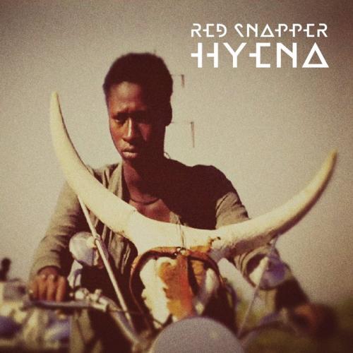 Red Snapper – Hyena