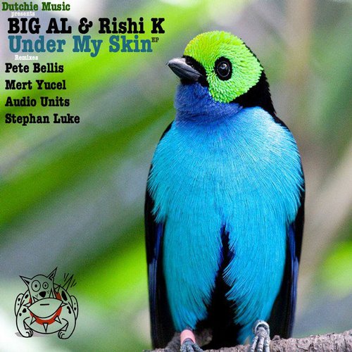 Big Al & Rishi K. – Under My Skin EP