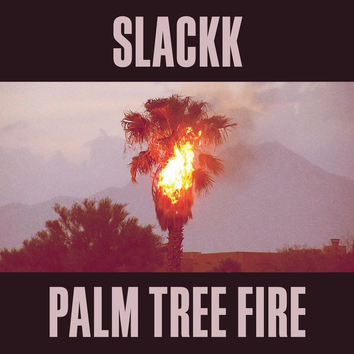 Slackk – Palm Tree Fire