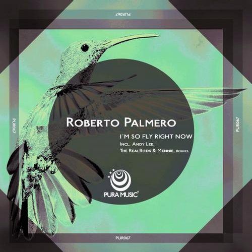 Roberto Palmero – I’m So Fly Right Now