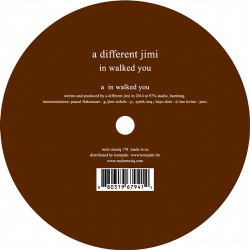 A Different Jimi – In Walked You