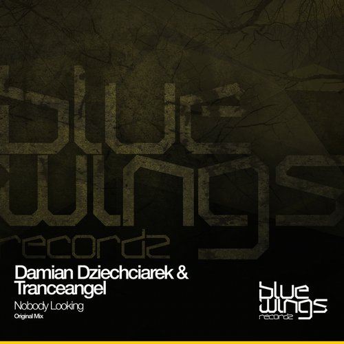 Damian Dziechciarek & Tranceangel – Nobody Looking