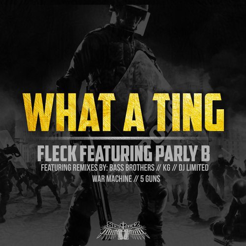 Fleck – What a Ting