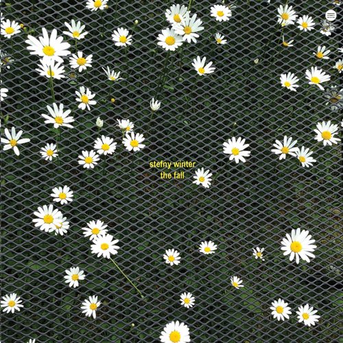 Stefny Winter – The Fall