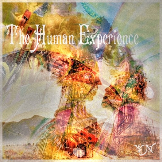 The Human Experience – Embraced
