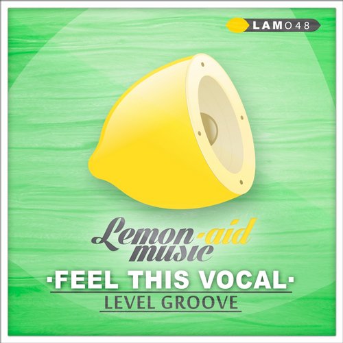 Level Groove – Fell This Vocal