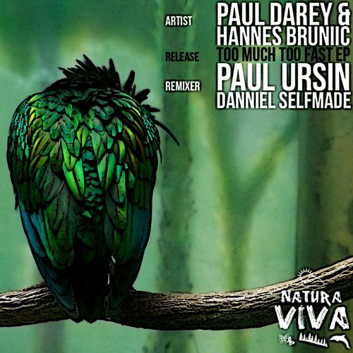 Paul Darey, Hannes Bruniic – Too Much Too Fast Ep