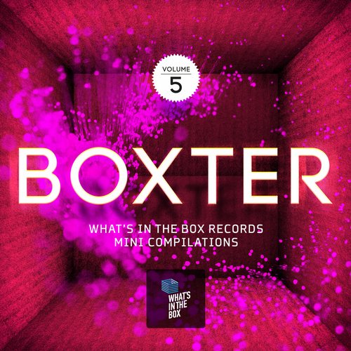 Eclectic Sound, Harry Light, Krjuk, Katya Prokina, Ponty Mython – Boxter 5