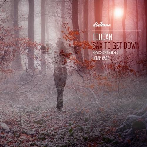 Toucan – Sax To Get Down