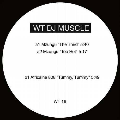 WT DJ Muscle 16