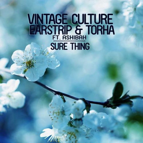 Vintage Culture, Earstrip & Torha Feat. Ashibah – Sure Thing