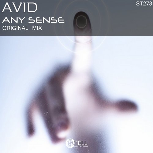 Avid – Any Sense