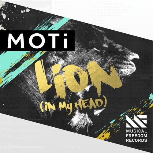 MOTi – Lion