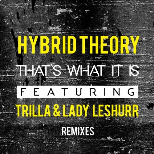 Hybrid Theory – TheSinistah4