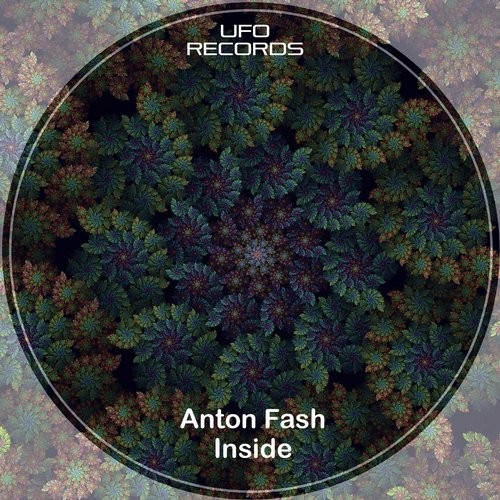 Anton Fash – Inside