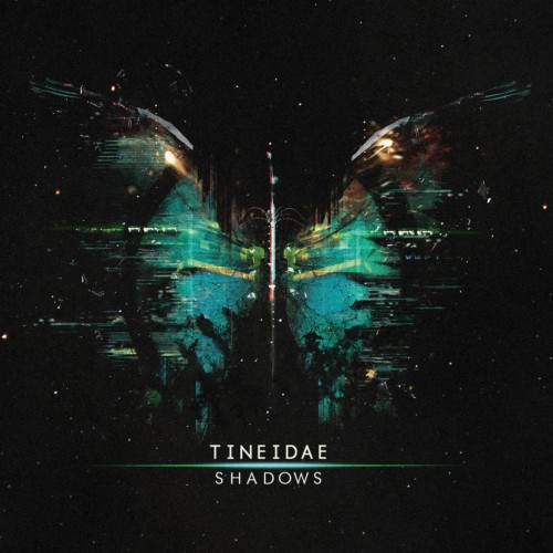 Tineidae – Shadows