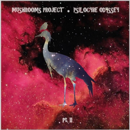 Mushrooms Project – Psilocybe Odyssey Part. II