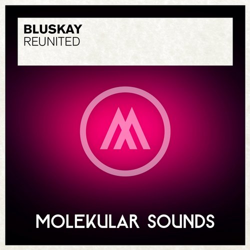 BluSkay – ReUnited
