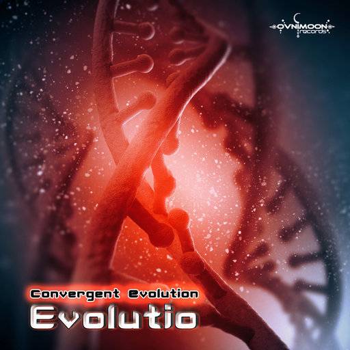 Convergent Evolution – Evolutio