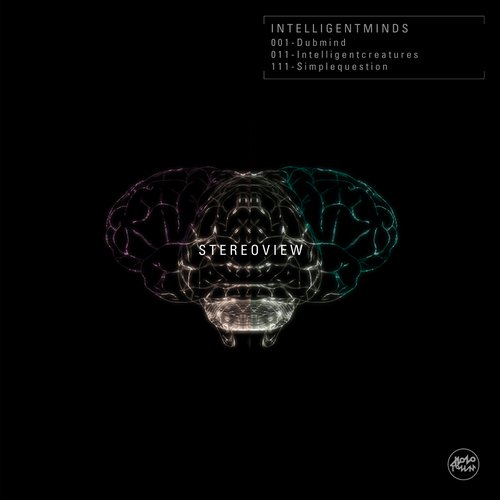Stereo View – Intelligent Minds