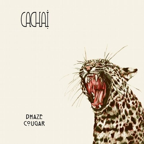 Dhaze – Cougar