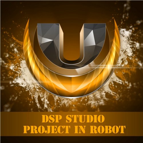 DSP Studio – Project In Robot