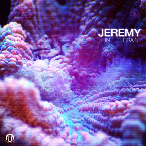 Jeremy – In The Brain