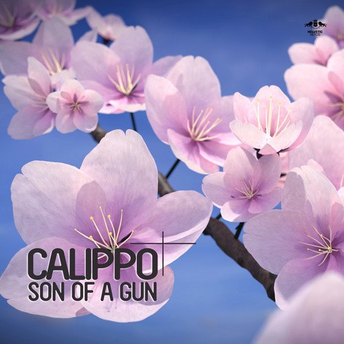 Calippo – Son of a Gun