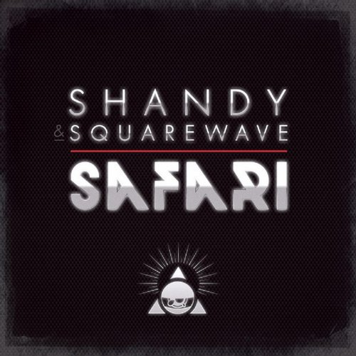 Shandy & DJ Squarewave – Ganges / Safari