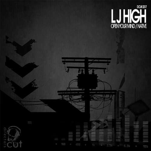 LJHigh – Open Your Mind / Native